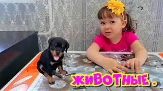 Учим домашних и диких животных с Иришей. Для детей.