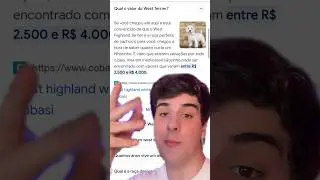 QUERO UM CACHORRO!