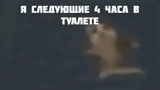 шни шна шнапи