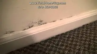 Atlanta Home inspector finds a roof leak affecting the interior walls and flooring