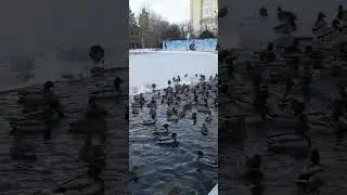 Саратов гор-парк!