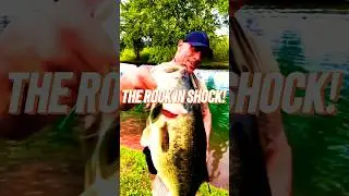 Dwayne Johnson caught a monster fish! Watch it! #shorts  #fishing #fishinglife #celebrityfishing