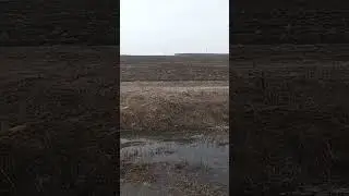 эх поле - поле!