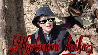 Kartonová Kočka (Vlog) #vlog #cartoon #cat #cartooncat