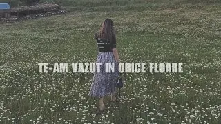 Te-am văzut în orice floare Cover- Loyss Lup