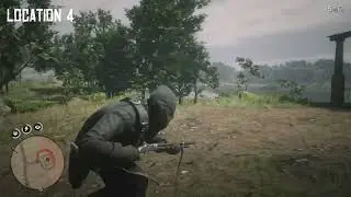 RDR2 - All House Burglary Treasure Locations