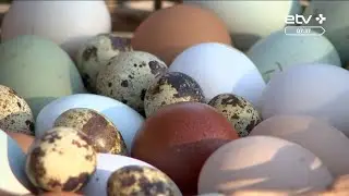 Профессор метеорологии: глобальное потепление есть, но теплая зима в Эстонии не из-за него