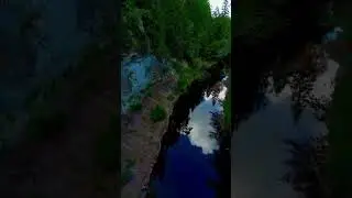 Места Ленобласти #shorts #местаспб