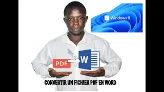 Transformer un document pdf en word