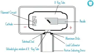 Dental X Ray tube (Easily Explained)
