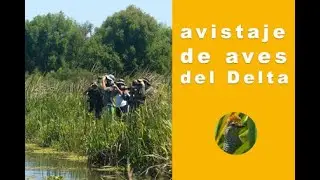 Delta Del Parana