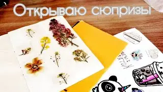 открываю старые бумажные сюпризы