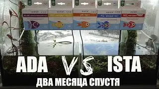 Grunt Ada vs Ista two months later!