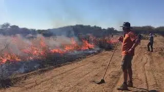 Thakadu Burn July 2017 1