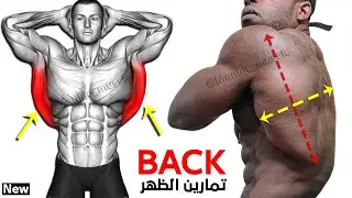 These are the 8 Biggest Back Exercises You Need to Know