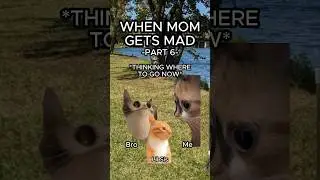 CAT MEMES 🐱 WHEN MOM GETS MAD PT.6 #relatable #family #cat #catlover #shorts