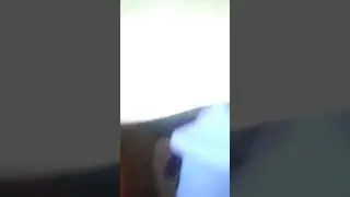 Pelado chama