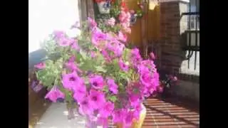 flora