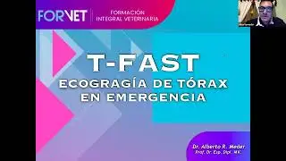 Webinar - T fast ecografia de torax en emergencias- FORVET 2023