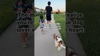 He wants to walk them everyday to make them happy #cavalierkingcharlesspaniel #toddlers