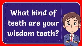 What kind of teeth are your wisdom teeth? Answer