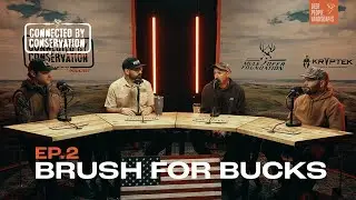 Brush For Bucks