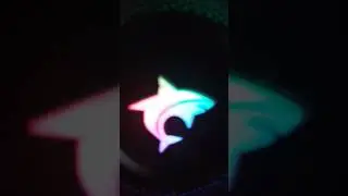 Shark (SUBSCRIBE)