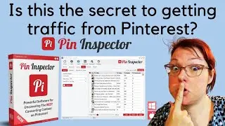 Pin Inspector Review and Demonstration - Becky's Software Reviews