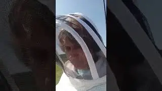 #пчеловодство