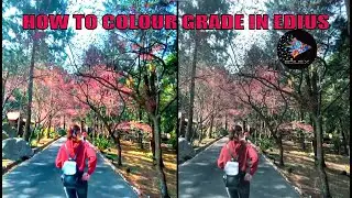 HOW TO COLOUR GRADE IN EDIUS 8,9,10