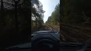 #15 сентября