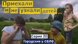 Серия 20 Что с детьми?? Я их не узнала. У нас живет аист. Возим сено. Мы вернулись!