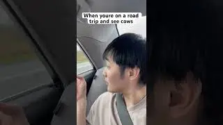 When youre on a road trip and see cows
