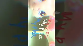 my plea- jack stauber