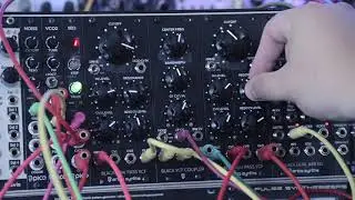 Why Love Black Low Pass VCF/High Pass VCF and Black VCF Coupler from Erica Synths.