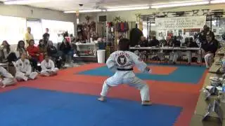 Sensei Kayo Ramirez CTA Form Demonstration