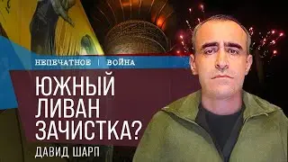 Южный Ливан зачистка? Обзор с Давидом Шарп