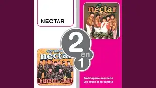 Muchachita