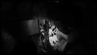 RE: 2 film noir low res vhs filter 10sec sample