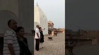 nand bhavan Barsana Shri dham Vrindavan 🙏🌸