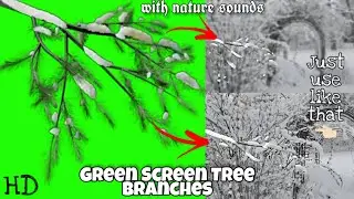 Green Screen Tree Branches how to use hd chroma key