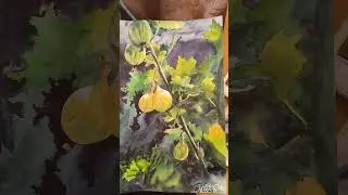 Акварель