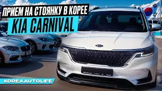 Осмотр автомобилей KIA Carnival при получении на стоянке в Корее