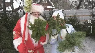 Ёлачныя кірмашы запрацавалі ў Віцебскай вобласці (20.12.2022)