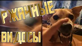 Maxim Show #3 | ЛУЧШИЕ ПРИКОЛЫ НОЯБРЯ