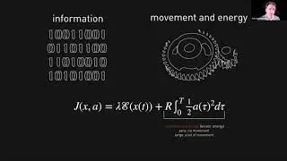Talk: Tuning movement to optimize information harvesting