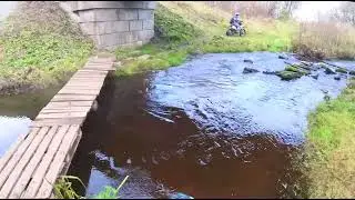 Нам сломали писки.
