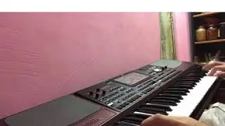 ДОЛЯ ВОРОВСКАЯ / KORG PA1000