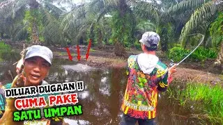 GAK NYANGKA !! UMPAN SKRIT DI SINI SANGAT GACOR // CASTING IKAN GABUS