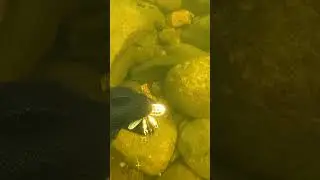 Подводный поиск на дне реки 